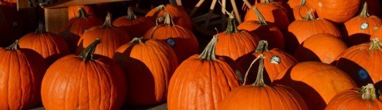 No tricks this year. Just two Hallowe’en treats for you (and make sure you keep reading for the second).