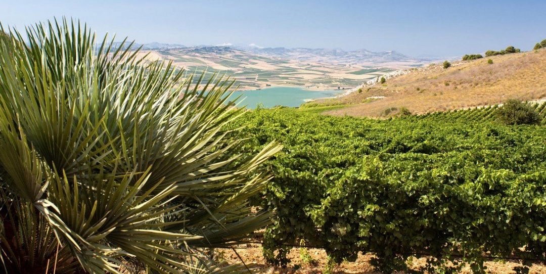 Wining our way around Sicily. Without ever leaving San Miguel.
