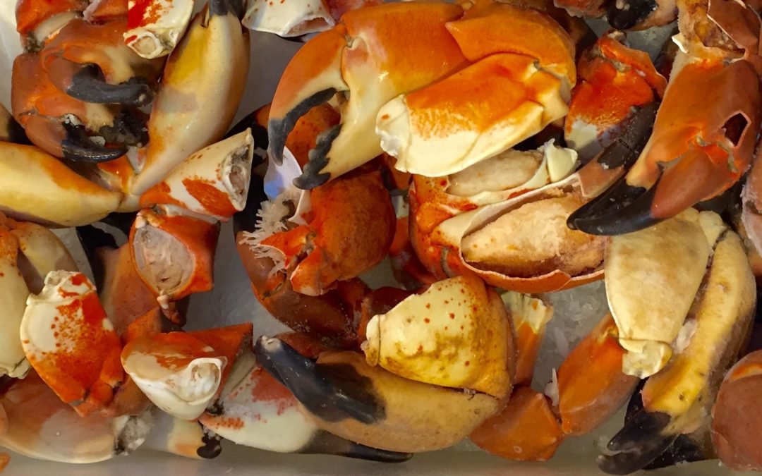 Stone crabs. Divine decadence in the desert.