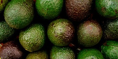 Learning to love avocados.