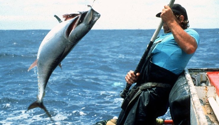 Hook, line and sinker. The best fishing spot in San Miguel.